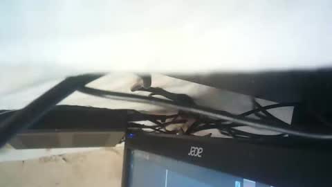 strangerdanger_2 online show from January 9, 11:35 am