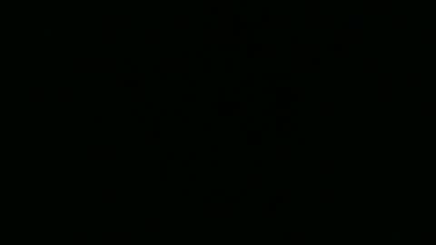 strangerdanger_2 online show from April 10, 11:37 am