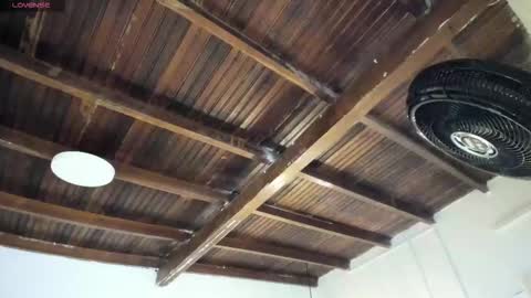 Alexa   online show from February 21, 11:00 am