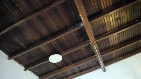 Alexa   online show from April 24, 11:01 am