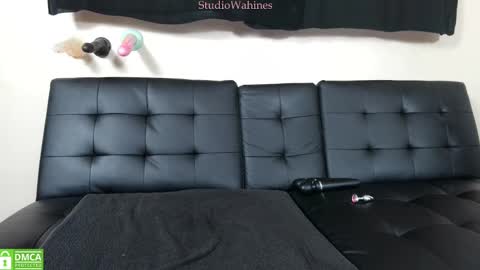 Snapshot of studiowahines chatting on March 12, 3:46 am StudioWahines online show from March 12, 3:46 am