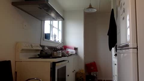 stugo1964 online show from September 24, 3:43 am