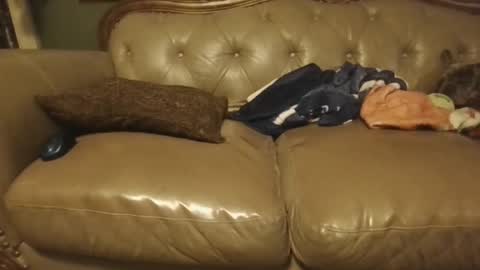 sub_michael41 online show from January 21, 5:05 am