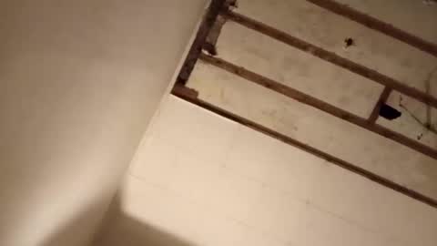 suckmeplease70 online show from November 2, 7:55 am