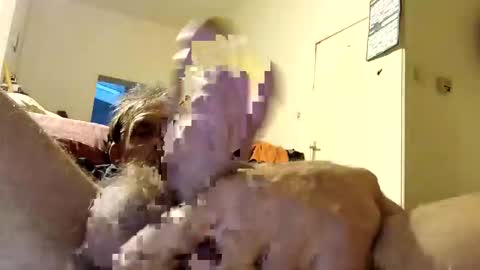 suckmeplease70 online show from April 26, 4:21 am