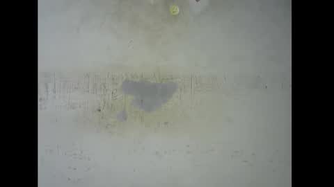 Bella online show from November 9, 5:44 pm