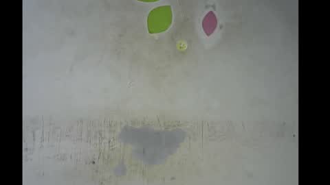 Bella online show from November 11, 8:58 am