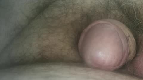 Snapshot of sugus56 chatting on April 28, 7:02 am Samenspender online show from April 28, 7:02 am