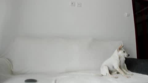 Snapshot of summer_sunshine_ chatting on October 21, 2:34 am Angel PVT show open online show from October 21, 2:34 am