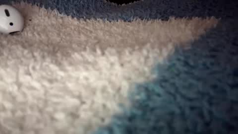 Sofie online show from September 9, 4:56 am