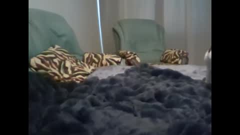 suni online show from March 7, 5:08 am