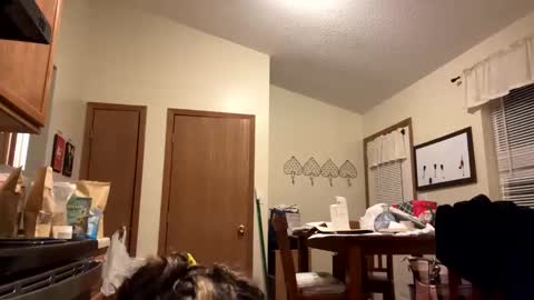 sunnbabe92485 online show from September 11, 2:44 am