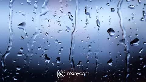 sven online show from October 7, 4:04 pm