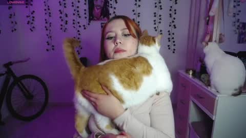 Sunset online show from October 1, 6:41 am