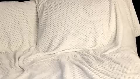 Annie online show from March 12, 10:17 pm