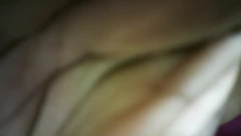 Sunshine online show from November 9, 10:13 am