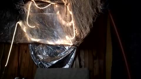 super jony and Marta GMT 1300-1800 every day online show from October 1, 2:17 am