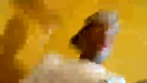 superbj245 online show from June 13, 8:23 am