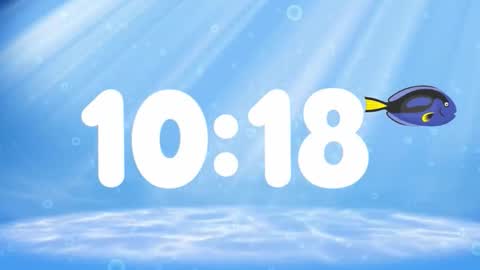 Susan online show from November 18, 2:39 am