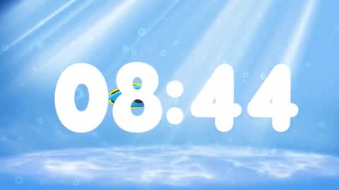 Susan online show from November 27, 2:46 am