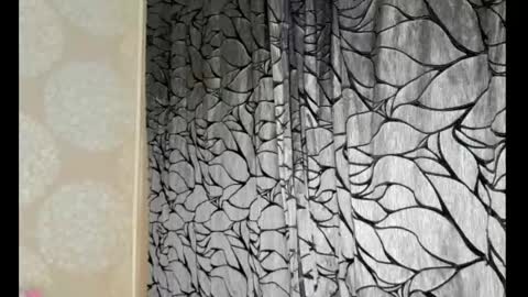 S online show from February 13, 12:57 am