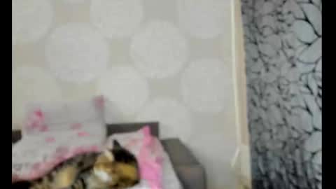 S online show from February 13, 10:55 am