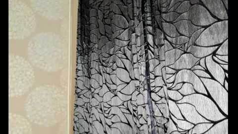 S online show from February 17, 12:54 am