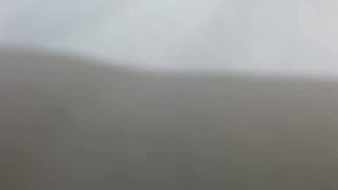 Suzy online show from February 17, 12:34 pm