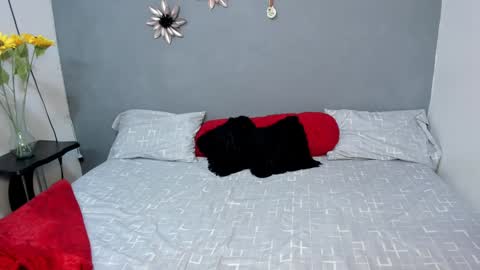 Snapshot of sweet_amanda_95 chatting on December 3, 12:16 pm Sweet Amanda95 online show from December 3, 12:16 pm