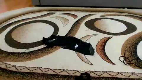 Snapshot of sweet_bluegirl chatting on March 6, 11:45 pm Sweet bluegirl online show from March 6, 11:45 pm