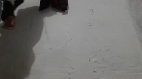 Camilo online show from February 1, 11:09 am