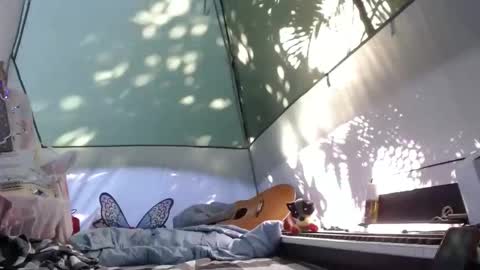 Snapshot of sweetnissapril chatting on November 21, 4:16 pm April online show from November 21, 4:16 pm