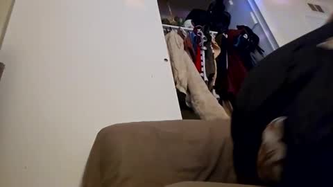 Snapshot of sweetp3ach29 chatting on December 16, 6:53 am sweetp3ach29 online show from December 16, 6:53 am