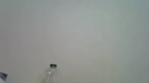 Lilly online show from April 21, 8:34 pm