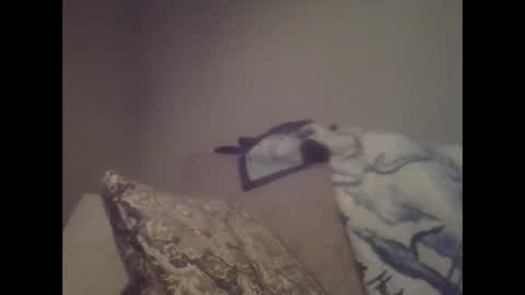 Snapshot of sweetsforu326 chatting on January 26, 1:41 am sweetbrowneyes623 online show from January 26, 1:41 am