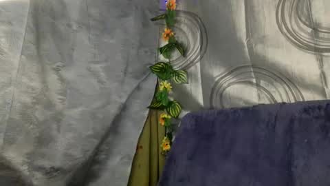 spicy online show from November 20, 2:56 am