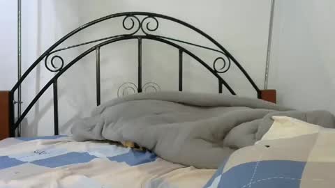 Snapshot of sweetvalariy chatting on January 24, 11:59 am sweetvalariy online show from January 24, 11:59 am