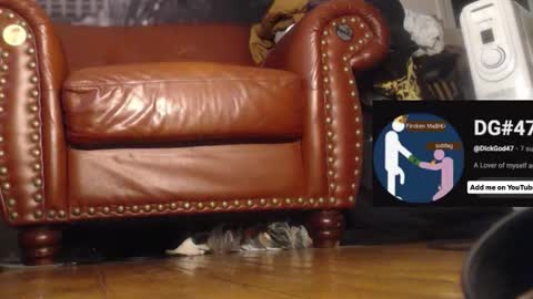 The DickGod online show from December 1, 6:46 pm