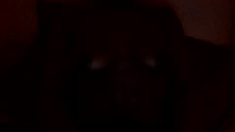 syiatonite online show from March 27, 11:43 am