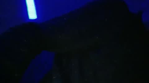 sylvauvert70 online show from January 18, 3:10 am