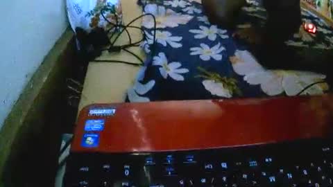 sylviasexy27 online show from November 18, 9:36 am