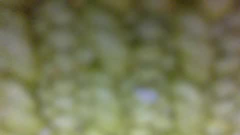 Prostate Orgazmer online show from May 29, 1:42 pm