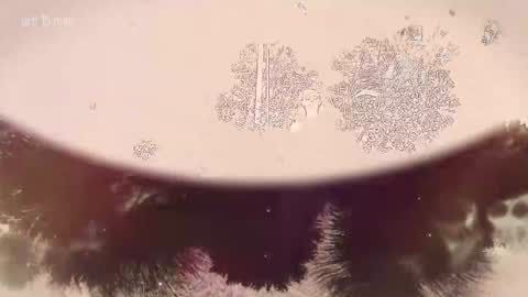 TAANNI online show from February 22, 10:08 pm