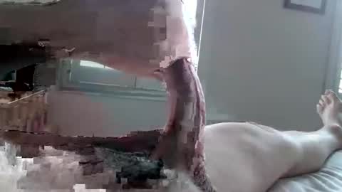 Tactful1 online show from April 3, 5:11 pm