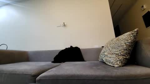 Tala online show from February 25, 11:55 pm