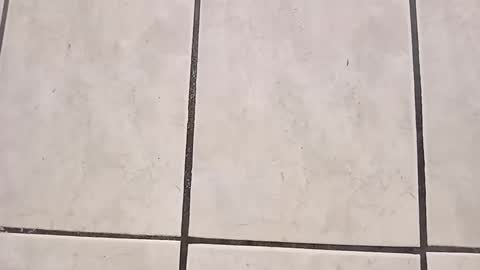 tall6feet7inch online show from September 28, 8:03 pm