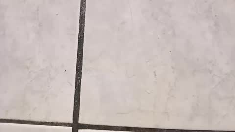 tall6feet7inch online show from September 29, 8:41 am