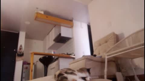 Tamara online show from March 15, 8:15 pm