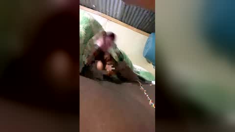 tamlindo online show from April 12, 10:26 pm