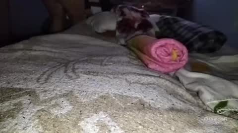 Snapshot of tangaxhentai3 chatting on January 6, 12:48 am tangaxhentai3 online show from January 6, 12:48 am